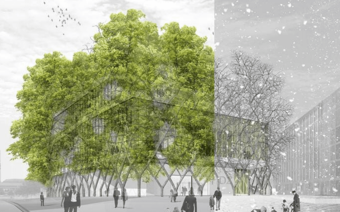 Építési botanika – van jogosultsága és jövője?