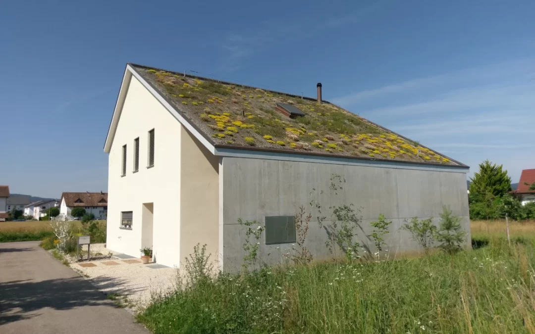 5 Architekten: Egy ház fűtés nélkül